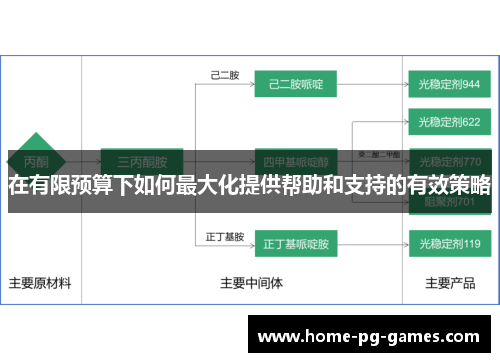 在有限预算下如何最大化提供帮助和支持的有效策略