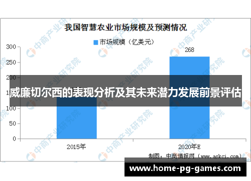 威廉切尔西的表现分析及其未来潜力发展前景评估