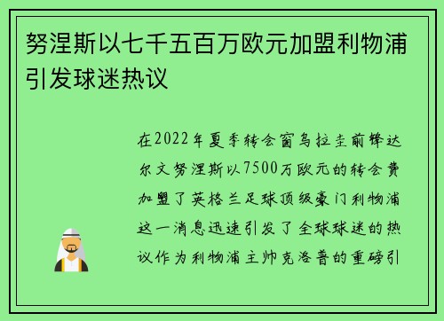 努涅斯以七千五百万欧元加盟利物浦引发球迷热议