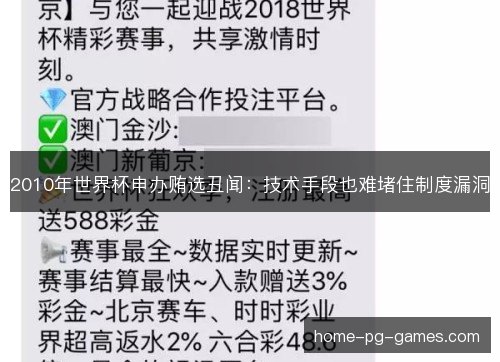 2010年世界杯申办贿选丑闻:技术手段也难堵住制度漏洞 2010年世界杯申办贿选丑闻:技术手段也难堵住制度漏洞